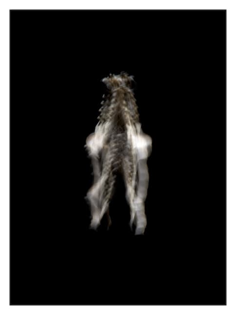 Sarcophilus