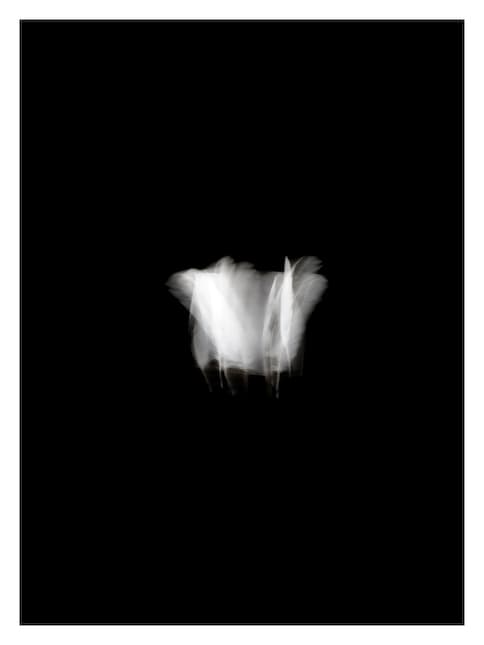 The Coward's Crown